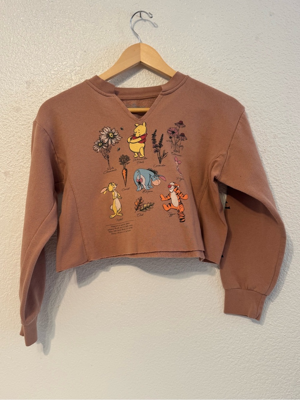 Disney Brown Winnie the Pooh Cropped Sweatshirt